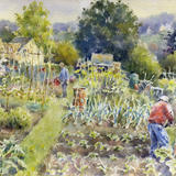 The Allotments