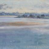 The River Severn at Fretherne