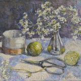 Limes and Cow Parsley