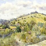 Swifts Hill summer evening