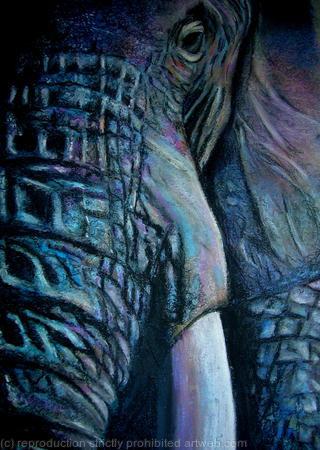 Tusker  (Artist's private collection)