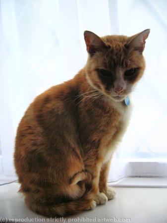 Mims-In loving memory