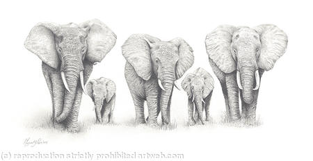 Elephant Walk