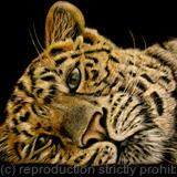 ...perchance to dream