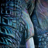 Tusker  (Artist's private collection)