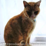 Mims-In loving memory