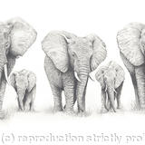 Elephant Walk