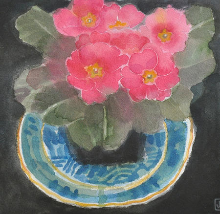 26-primula-8x8