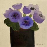 Anemones