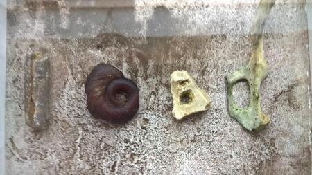 Binary Code ( found objects)