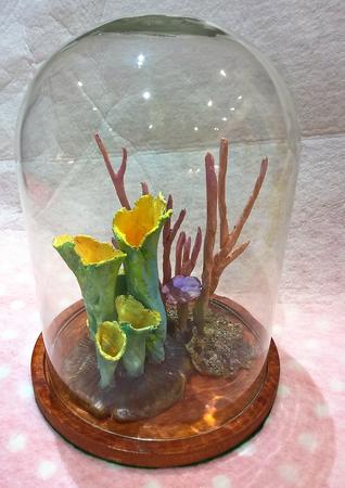 Jewels of Autumn woodland