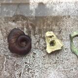 Binary Code ( found objects)