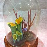 Jewels of Autumn woodland