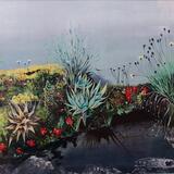 Roraimu plateau Flora