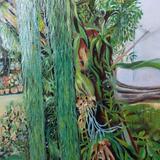 princess of Wales Conservatory, Kew Botanic Garden