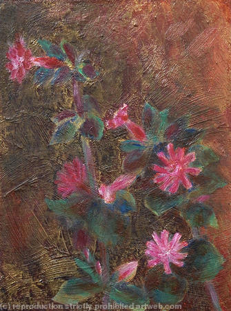 Campions, dark ground