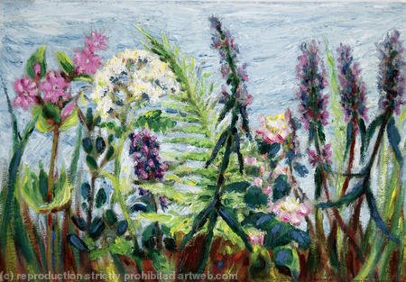 Hedge Flowers, August