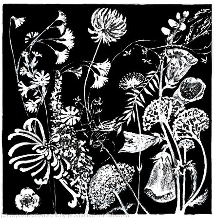 Hedge Flower Frieze 1