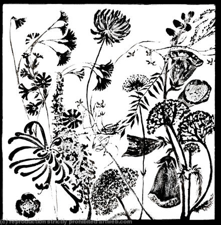 Hedgerow Flowers Frieze 2