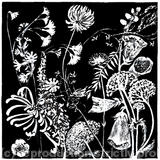 Hedge Flower Frieze 1