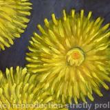 Dandelion Seed Machine