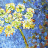 Umbel Head in Stone Jar