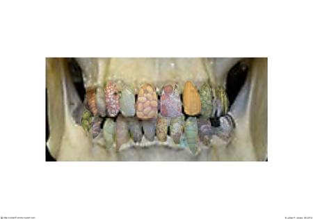 A Thing of the Past 02