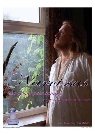 Narcissus 02