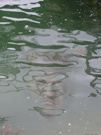 The Strong Man and the Sea 01.