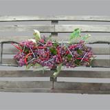 Chilli Grapes and Screws 01