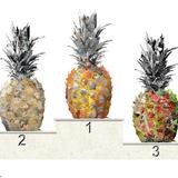 Top Pineapple 02