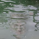 The Strong Man and the Sea 01.