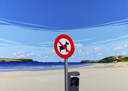 Spots on Beauty: Padstow