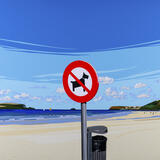 Spots on Beauty: Padstow