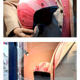 Maeving x Thomas Pink helmet detail