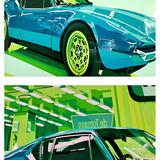 Panthers ‘70 (detail)