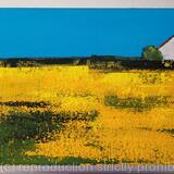 Yellow Field