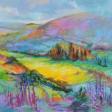 MOORLAND WALK - WEST OF HOUND TOR