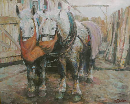 horses working krakow