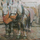 horses working krakow