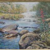  east lynrock fall  near lynmouth