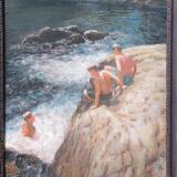 plunge pool  on the  erme ,lvybridge