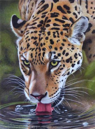 At the watering hole