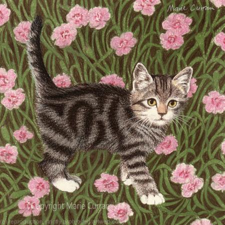 Tabitha (Giclee print)