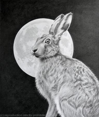 The Hare and the Moon