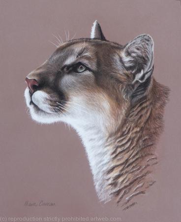 featured artwork