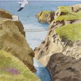 Gannets over Carrick-a-Rede