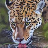 At the watering hole