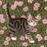 Tabitha (Giclee print)