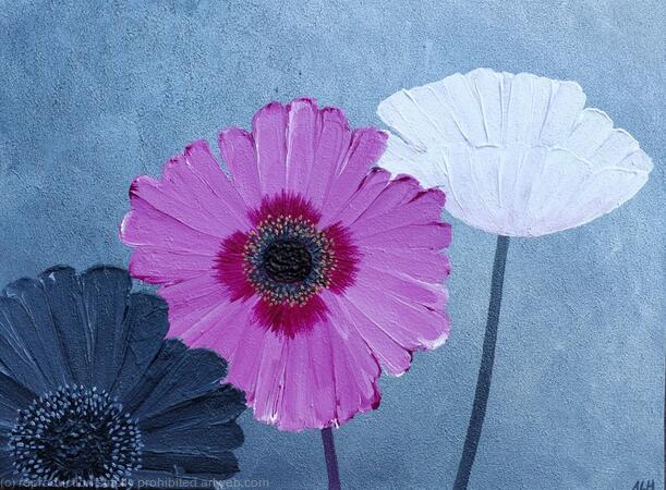 Pink Poppy